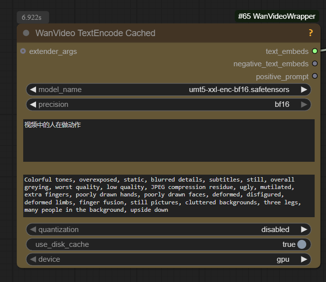 T5 'WanVideo Text Encode Cached' node